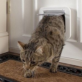 Dvířka pro kočky s mikročipem SureFlap DualScan