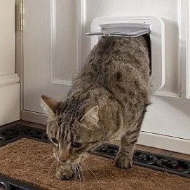 Dvířka pro kočky s mikročipem SureFlap DualScan