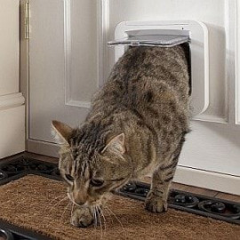 Dvířka pro kočky s mikročipem SureFlap DualScan