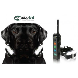Dogtra 4503 EDGE