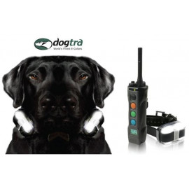 Dogtra 4503 EDGE