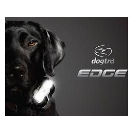 Dogtra 4504 EDGE