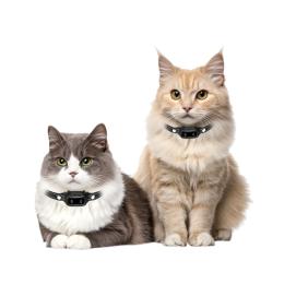 Reedog CP1 Výcvikový obojek pro kočky