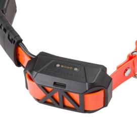 CANICOM GPS MINI bez impulsu