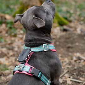 Dogtrace Tracker pro psy DOG GPS ultra