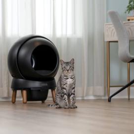 PetSafe® ScoopFree SmartSpin™ - černá