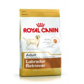 Royal canin Breed Labrador  12kg