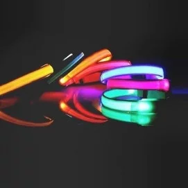 Reedog svítící obojek pro malé a střední psy