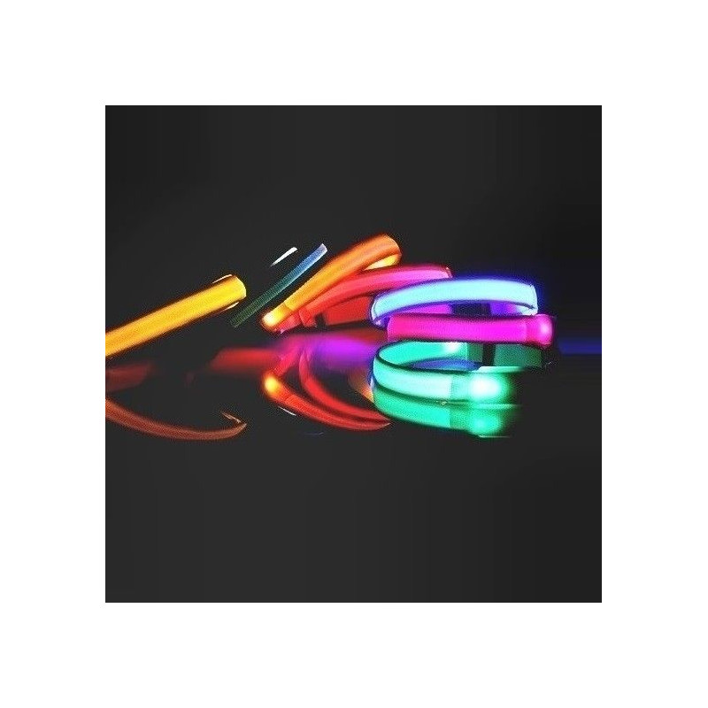 Reedog svítící obojek pro malé a střední psy