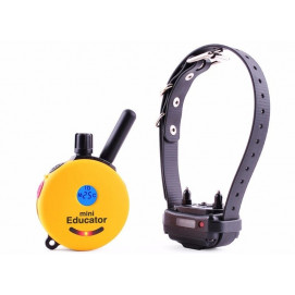 e-collar Educator ET-300