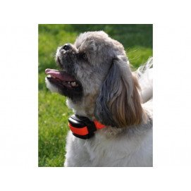 Elektronický výcvikový obojek Dogtrace d-control professional 2000 mini - Orange