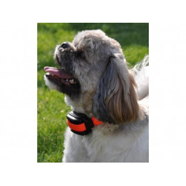 Elektronický výcvikový obojek Dogtrace d-control professional 2000 mini - Orange