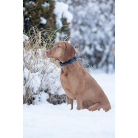 Vyhledávací zařízení DOG GPS X20 orange