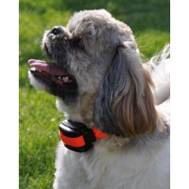 Dogtrace d-mute small light