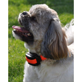 Dogtrace d-mute small light