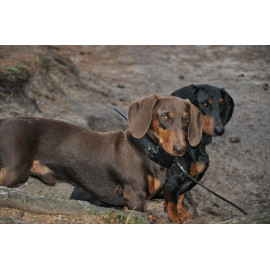 Satelitní GPS lokátor Dogtrace DOG GPS X30T - s výcvikovým modulem