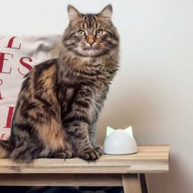 Dvířka Sureflap Microchip Cat Door Connect