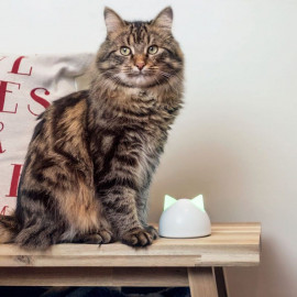 Dvířka Sureflap Microchip Cat Door Connect