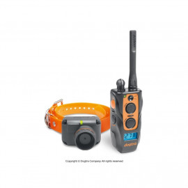 Dogtra 2600 T&B
