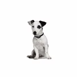 Pet at School Bark Soft/Canicalm Sonic