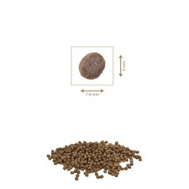 PETKULT dog MINI ADULT lamb/rice 12kg