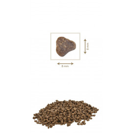 PETKULT dog STARTER lamb/rice 2x12kg 