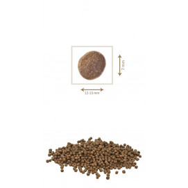 PETKULT dog MEDIUM ADULT lamb/rice 2x12kg 