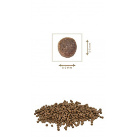 PETKULT dog MEDIUM JUNIOR lamb/rice 2x12kg  