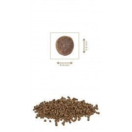 PETKULT dog MEDIUM JUNIOR lamb/rice 2x12kg  