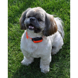 D‑control d-control professional 1000 ONE orange