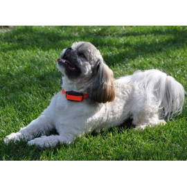 D‑control d-control professional 1000 ONE orange