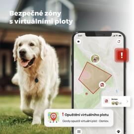 Dogtrace DOG GPS mini