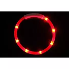 Reedog Easy Light USB dobíjecí svítící obojek pro psy a kočky