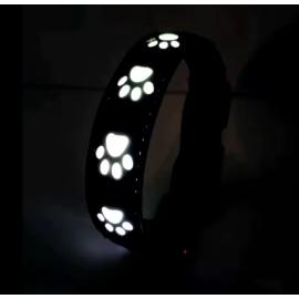 Reedog dobíjecí svítící obojek TLAPKY