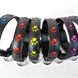 Reedog dobíjecí svítící obojek TLAPKY