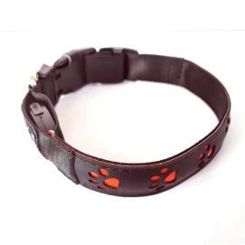 Reedog dobíjecí svítící obojek TLAPKY