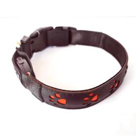 Reedog dobíjecí svítící obojek TLAPKY