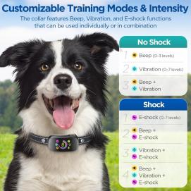 Reedog NoBark Smart Pro TC-006 - s nylonovým obojkem