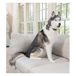 PetSafe® Standard protištěkací obojek pro psy - dobíjecí