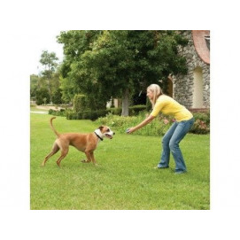 Bezdrátový ohradník pro psy Petsafe Stay + Play