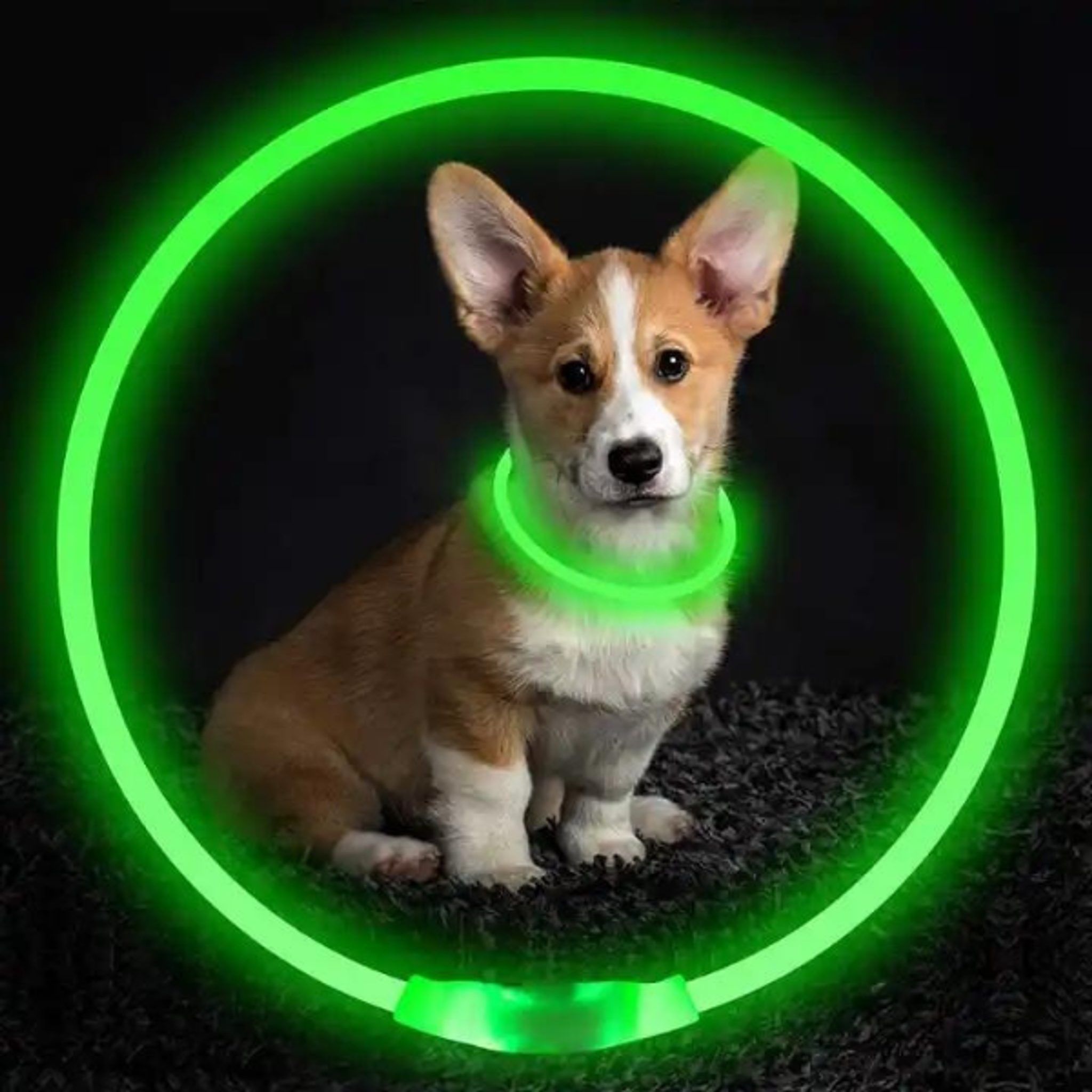 Reedog LED dobíjecí svítící obojek pro psy a kočky - Zelená